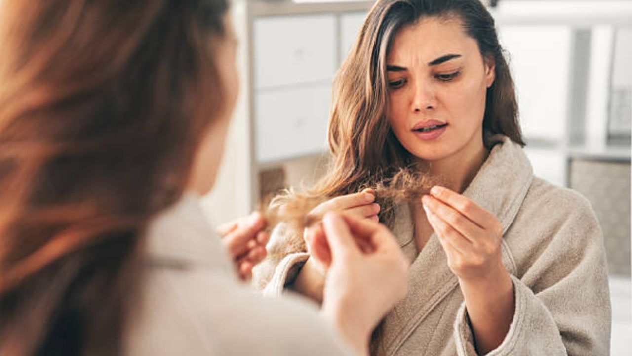 Hair Care Tips: केसांना मिळेल भरपूर पोषण! रोजच्या आहारात करा ‘या’ शक्तिशाली पदार्थांचा समावेश, केसांची मूळ होतील मजबूत