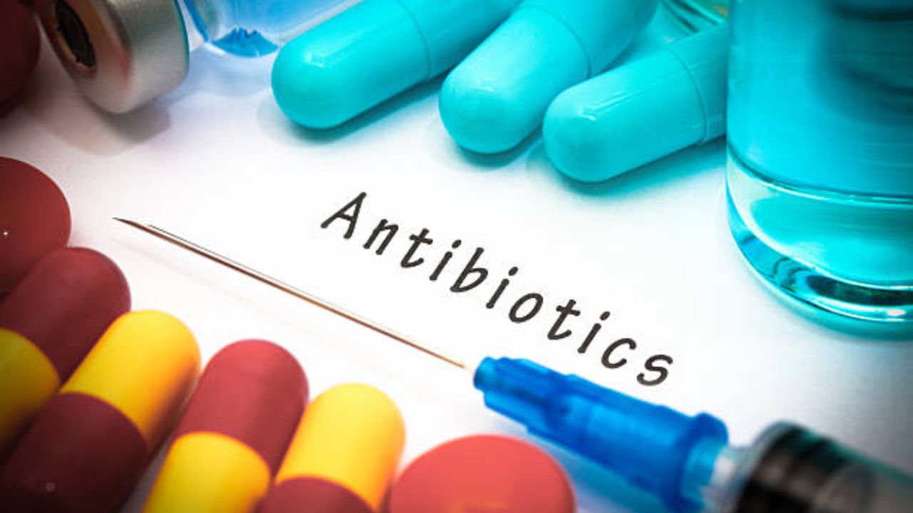 Antibiotic: अँटिबायोटिक्स गोळी खाल्यानंतर पचनक्रिया का बदलते? शरीरात दिसणाऱ्या ‘या’ लक्षणांकडे अजिबात करू नका दुर्लक्ष