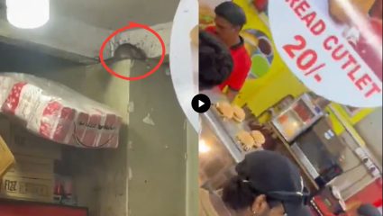 Viral Video: मुंबईतील रेल्वे स्टॉलवर उंदरांचा सुळसुळाट! VIDEO समोर येताच पश्चिम रेल्वेची कारवाई