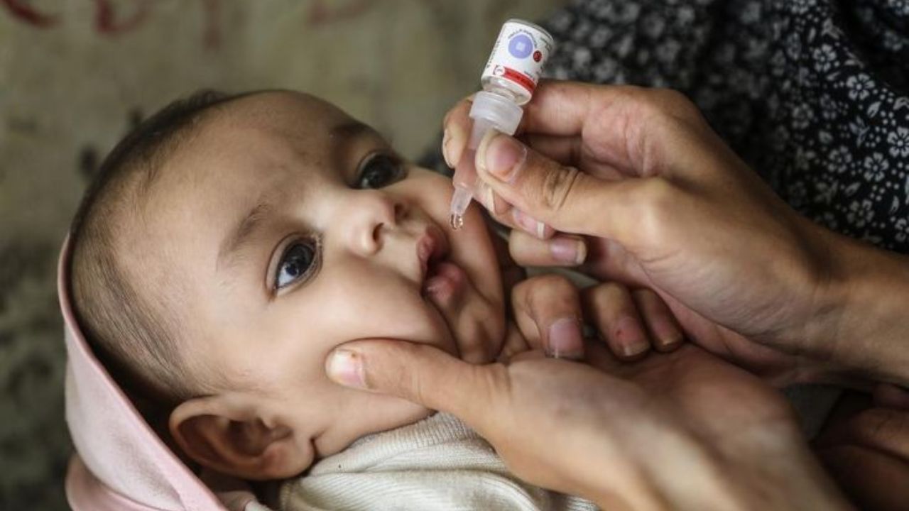 World Polio Day: पोलिओमुक्तीत कसा झाला भारताचा ऐतिहासिक विजय? जाणून घ्या ‘2 बूंद जिंदगी की’चा हा रंजक प्रवास