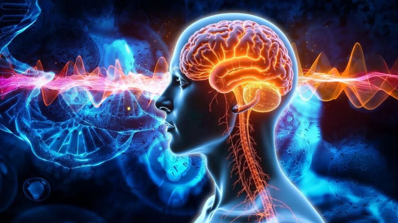 World Stroke Day : मेंदूचा अचानक रक्तपुरवठा खंडित झाल्यास काय करावे? स्ट्रोकची लक्षणे आणि बचावाचे सोपे उपाय