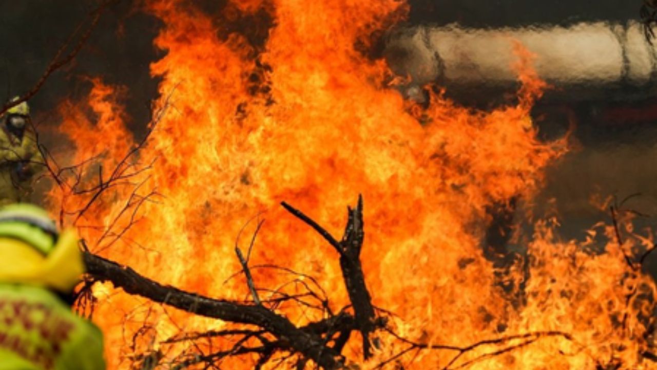 October Heat : ऑस्ट्रेलियात पुन्हा ‘वणवा’ पेटणार? वाढते तापमान पाहता प्रशासन हाय अलर्टवर