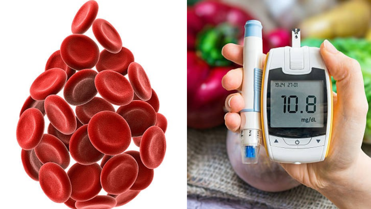 Blood Group Diabetes: कोणत्या रक्तगटाच्या व्यक्तीला डायबिटीसचा धोका अधिक, काय सांगतो अभ्यास
