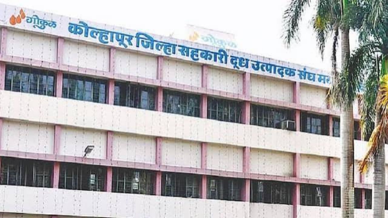 Gokul Election : अध्यक्ष निवड प्रक्रियेत मोठा ट्वीस्ट; महायुतीच्या नेत्यांची गोवा-कोल्हापूर फेऱ्या वाढल्या, काही तरी मोठं शिजतंय