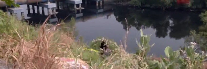 Mahim Creek Dead Body Case : 27 वर्षीय महिलेचा मृतदेह सापडला; पोलीस आणि फॉरेन्सिक पथकाकडून तपास सुरू