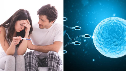 Infertility Cause: लग्नानंतर गर्भधारणा होत नाही? 5 महत्त्वाची कारणं, करू नका दुर्लक्ष