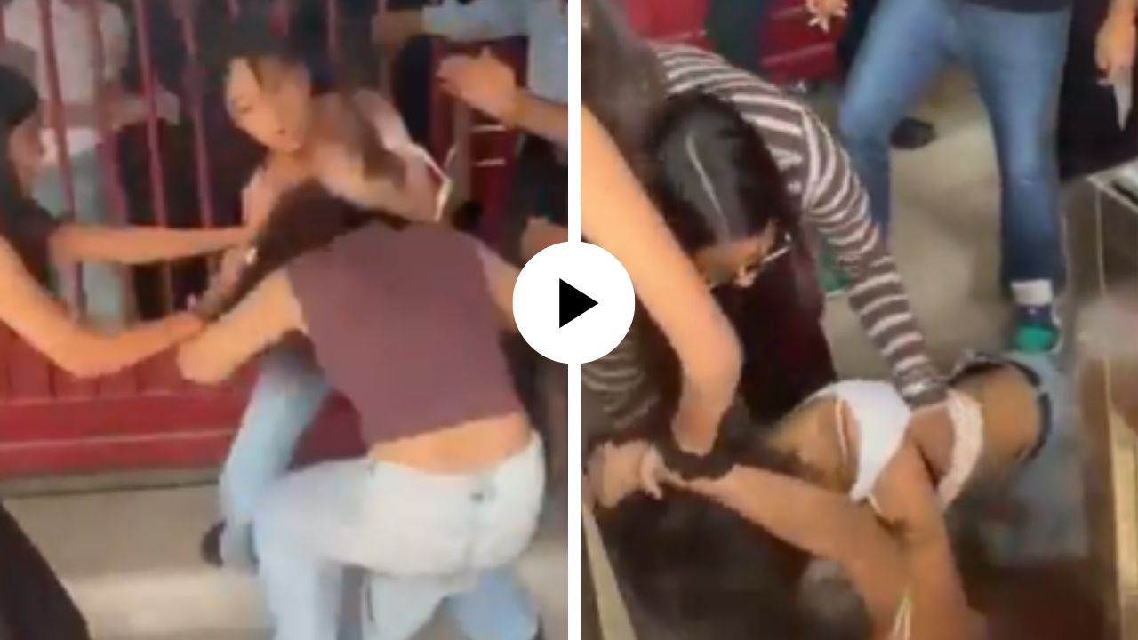 Viral Video : मॅटर जास्तच मोठा आहे… केस पकडली, जमिनीवर आपटलं अन् तरुणींचा राडा पाहून यूजर्स हादरले; Video Viral