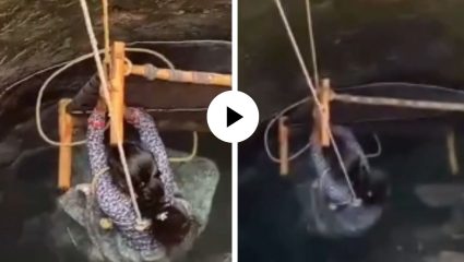 पतीशी भांडण अन् पत्नीने मारली विहिरीत उडी! बराच वेळ रंगला हायव्होल्टेज ड्रामा; अंगावर काटा आणणारा व्हिडिओ व्हायरल