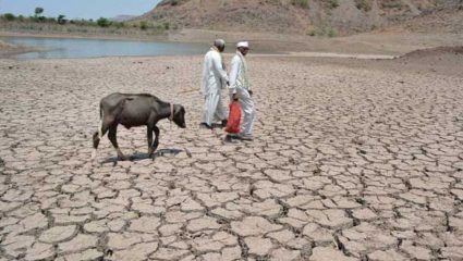 दुष्काळाच्या झळा रायगडला, पण सवलतींपासून वंचित; यादीतून वगळले नाव, शेतकऱ्यांचा संताप