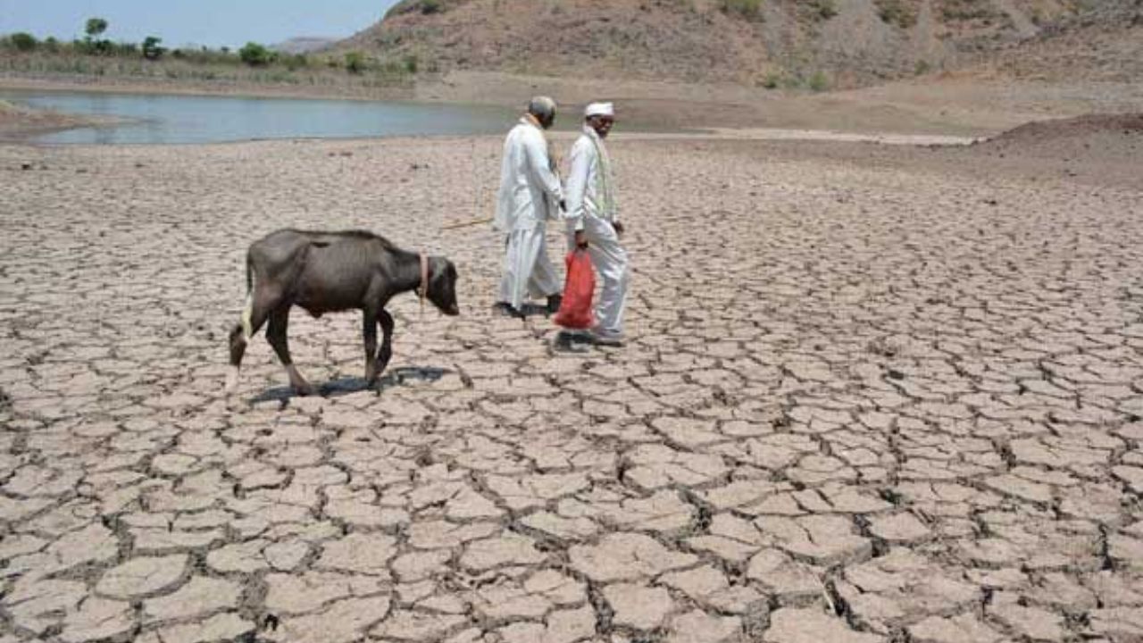 दुष्काळाच्या झळा रायगडला, पण सवलतींपासून वंचित; यादीतून वगळले नाव, शेतकऱ्यांचा संताप