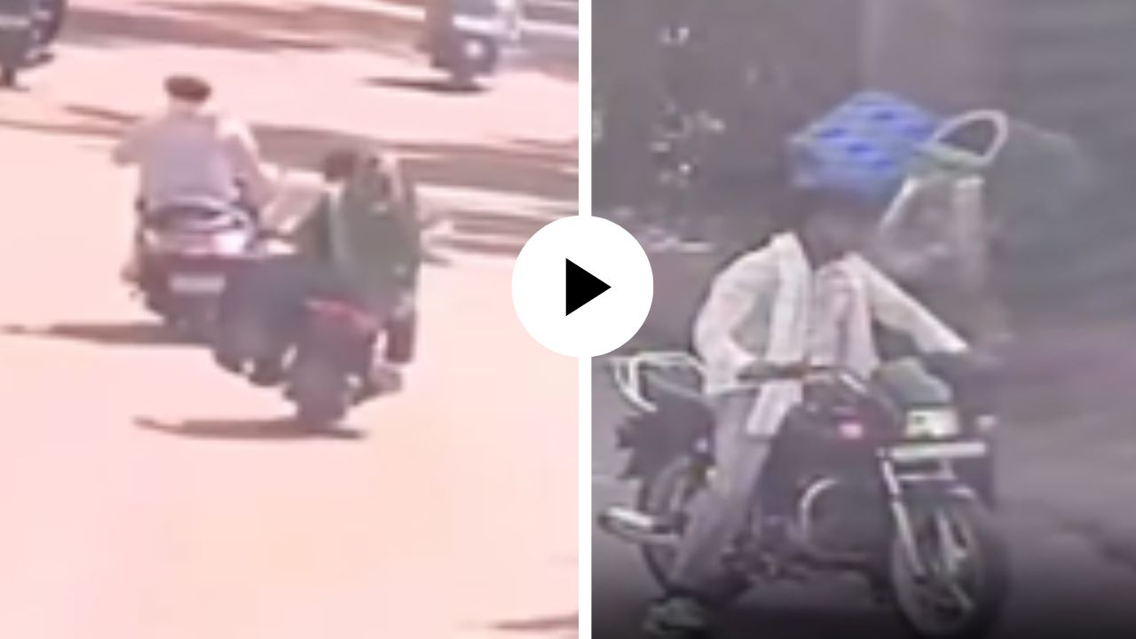 अजब-गजब! प्राणीसंग्रहालयातून नव्या नवरीला घेऊन बाॅयफ्रेंड फरार, नवरा गाडी पार्क करायला गेला अन् घटनेचा Video Viral