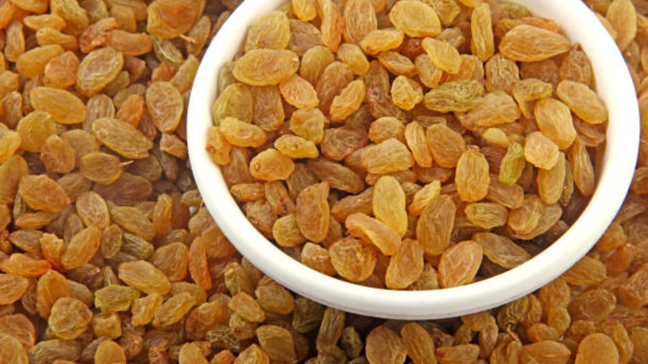Health Tips: सकाळी रिकाम्या पोटी १० भिजवलेल्या मनुका खा; आरोग्याला मिळतील हे जबरदस्त फायदे