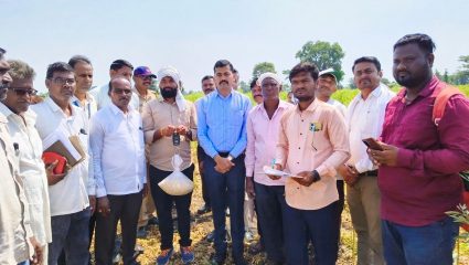 Washim: पीक कापणी प्रयोग अचूक आणि पारदर्शकपणे राबवा; जिल्हाधिकाऱ्यांकडून इलखी येथे पाहणी
