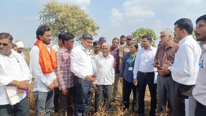 Washim: केंद्रीय पथकाकडून दुष्काळग्रस्त भागाची पाहणी; वाशिम जिल्ह्यातील दुष्काळी परिस्थितीचा घेतला आढावा
